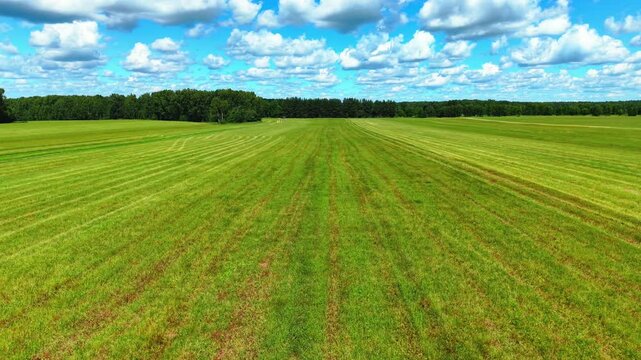 Lush green grass fields displaying striped patterns framed by dense forest under blue skies