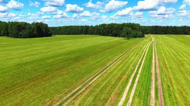 Lush green fields with well-defined crop rows and vibrant blue skies above