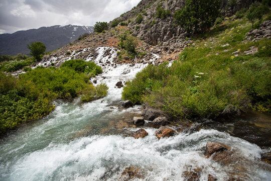 Munzur Springs in Ovacik, Tunceli, Turkey with Crystal Clear Water, Lush Greenery and Scenic Mountain Nature