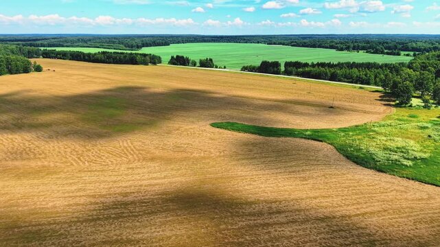 Aerial view of golden wheat fields with green patches under bright blue skies and fluffy clouds