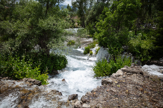 Munzur Springs in Ovacik, Tunceli, Turkey with Crystal Clear Water, Lush Greenery and Scenic Mountain Nature