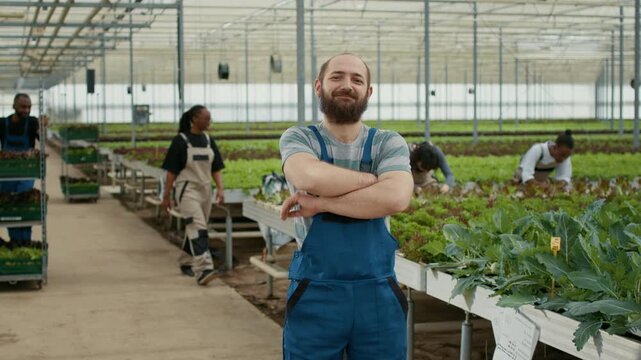 Professional portrait of Caucasian farmer in organic food farm posing confident while pickers gather vegetables, showing professional greenhouse work and organic farming for fresh produce supply.