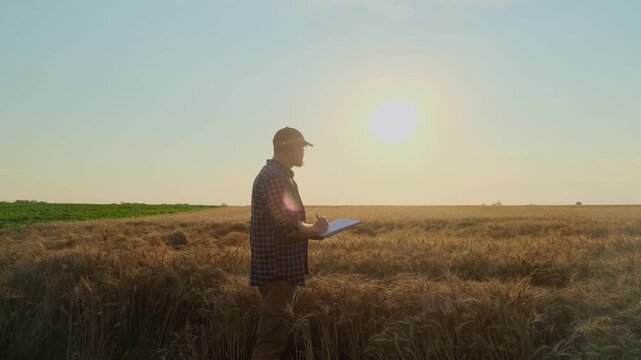 A man farmer with a beard, wearing a cap and a plaid shirt, stands in a field, looks at ripe rye, writes information in a notebook. Sunset sunlight, bright rays. Autumn harvest concept.