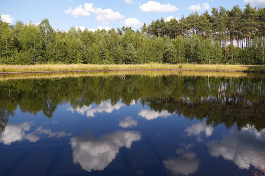 Serene Forest Lake Mirror Reflection of Blue Sky and Green Trees on a Sunny Summer Day Pristine Nature Landscape