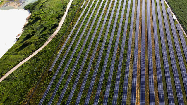 Large scale solar farm aerial view showing rows of photovoltaic panels in green field generating clean renewable energy