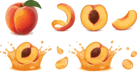 Fresh Peach Fruit Vector Set with Whole Slices Peel and Liquid Juice Splashes isolated on White Background for Packaging and Advertising Designs © MdGohurul
