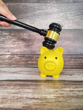 Judge gavel above yellow piggy bank symbolizing financial law, legal protection and money management