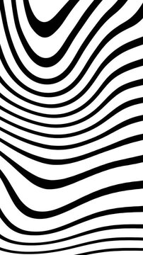 Vertical zebra animation featuring an abstract black and white wavy optical illusion.