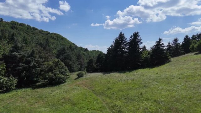 Prato verde con alberi sempreverdi e decidui ai margini, colline boscose sullo sfondo e cielo azzurro con nuvole sparse