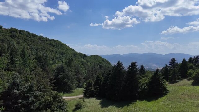 Montagna verde con vegetazione fitta e piccolo sentiero, sullo sfondo montagne distanti sotto un cielo azzurro con nuvole sparse. Paesaggio naturale luminoso e tranquillo