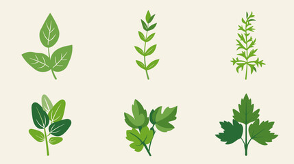 Naklejka premium Six Stylized Green Leaf Illustrations On Pale Beige Background Botanical Vector Elements And Herb