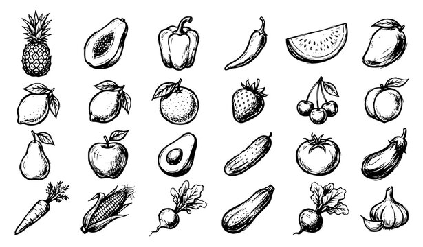 Summer Fruits and Vegetables Vintage Charcoal Ink Sketch Vector Set with Black Brush Stroke Hand Drawn Food Collection