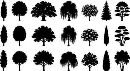 Deciduous and coniferous forest tree silhouettes collection nature landscape vector icons set in image_6893de.png © Shaharia Shaharia