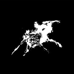 Obraz premium Grunge birds droppings black and white. Flat blots style vector illustration. Map. Abstract paint drop. 