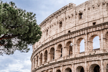 Obraz premium Partial view of the Colosseum with stone pine in foreground under a cloudy sky, ancient Roman amphitheater exterior in Rome, Italy