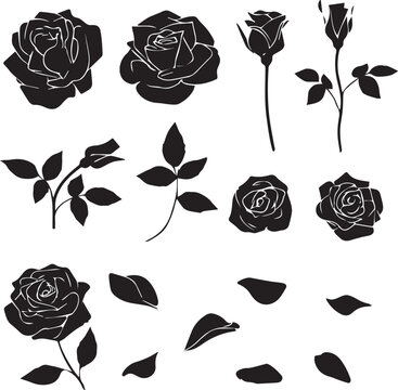 Black rose silhouette set, floral vector elements with rosebuds and leaves, botanical garden flower icons for wedding invitations and logo design