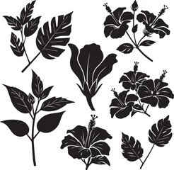 Obraz premium Tropical hibiscus flower silhouettes, black floral vector set with monstera leaves, exotic botanical garden elements for summer wedding invitations