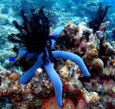Philippines