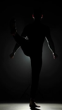 Martial artist silhouette high kick in spotlight