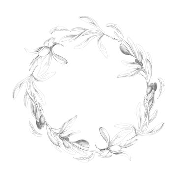 Decorative circle wreath of olive, bay laurel twigs, branches with leaves and fruit. Hand drawn botanical pencil illustration. Gourmet packaging, artisan logos, cookbook chapters, culinary invitations