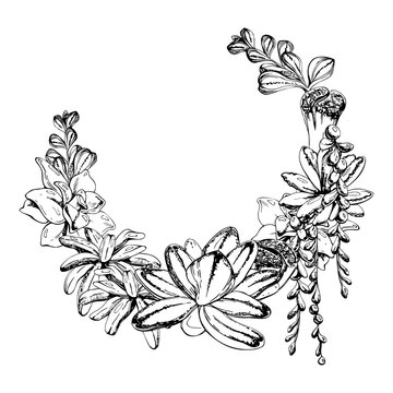 Trailing curio pearls vines, money plant branches with fleshy leaves, echeveria, sedum and kalanchoe succulents wreath frame. Clean vector hand drawn in ink. Wedding graphics and wellness brand marks.