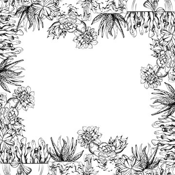 Glazed pottery bowls, pots of aloe vera, echeveria succulents and sansevieria snake tongue plants in leafy edge frame. Fine vector hand drawn ink artwork. Flower shop graphics, handmade beauty labels.