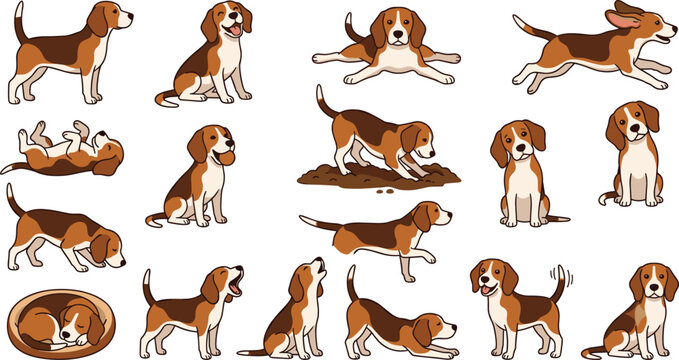Beagle Dog and Cute Puppy Vector Set with Various Poses Including Running, Sleeping, Barking, and Digging for Pet Care, Veterinary, and Animal Lover Designs