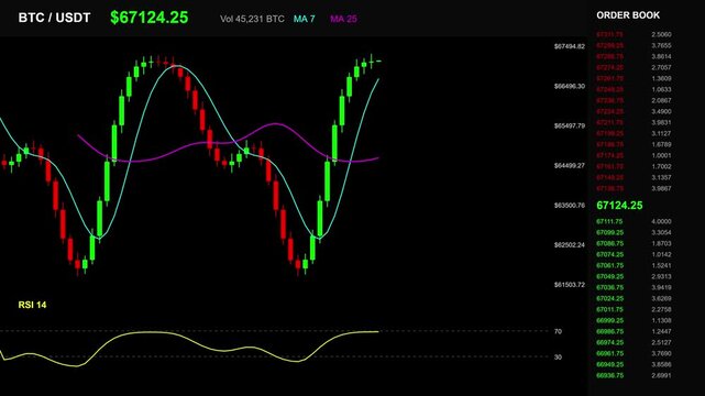 Professional cryptocurrency trading dashboard loop showing real time market data with candlestick charts and technical indicators for digital assets.