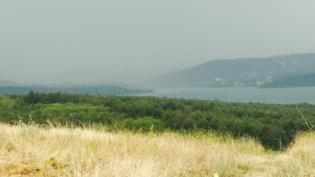 A refreshing summer shower falls softly over the serene reservoir and forest in Simferopol, Crimea. The misty landscape evokes a deeply peaceful and nostalgic feeling.