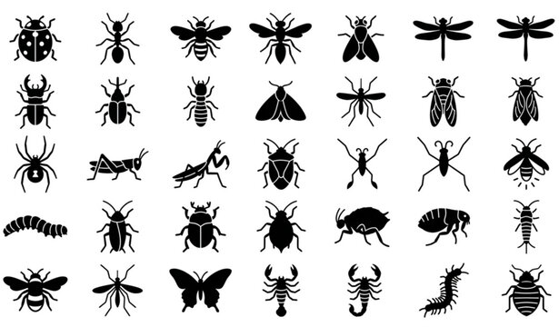 Insects Glyph Icon Set Beetles Bugs Bees Spiders Vector SVG