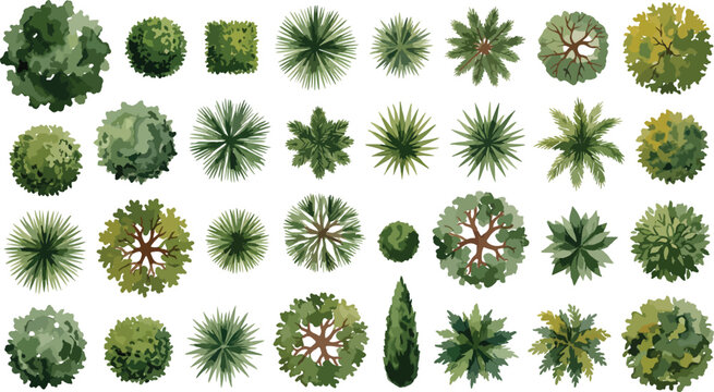 Top-down landscape design elements, 36 green garden trees and bushes, architectural plan vector set, diverse plant collection for mapping