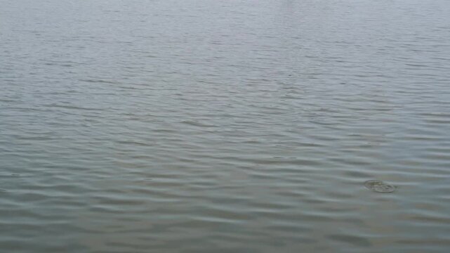 Soft gentle ripples moving across the calm grey surface of a man-made reservoir water during an overcast day with steady atmospheric motion.