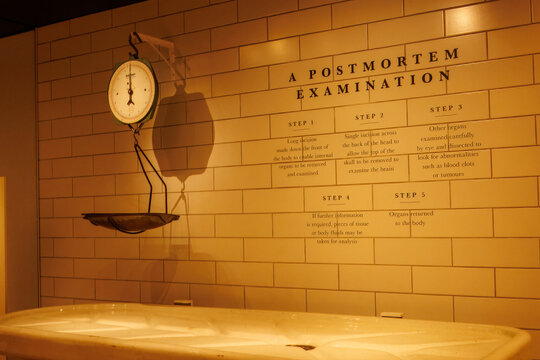Medical history exhibit showing postmortem equipment and weighing scale.