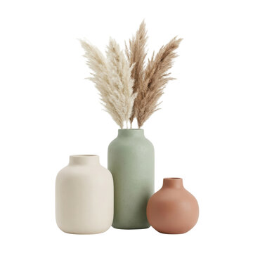 Three different size and color decorative vases with pampas grass on transparent background.