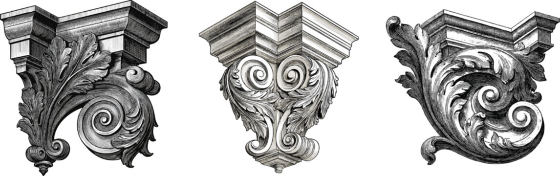 A classical architectural frieze corner piece features stylized acanthus volutes with clean engraving line-shading, bold graphic contrast against a pure white background