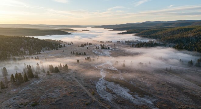 Aerial view of foggy landscape with trees and river at sunrise