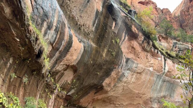 Red sandstone canyon walls with a small desert waterfall in Utah, video frame looking upward at wet rock, greenery, high cliffs and soft sky