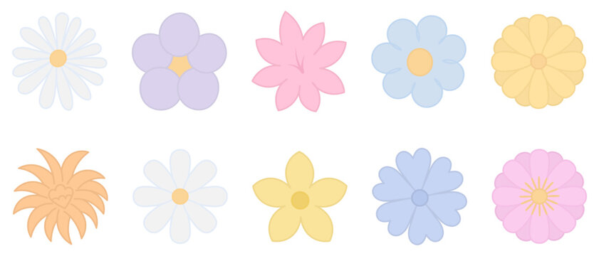 Set of flower inflorescences. Color vector illustration. Chamomile, violet, lily, gerbera, lush bud, chrysanthemum, cornflower, narcissus. Outline on an isolated white background. Flat style. 