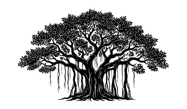 Banyan Tree Silhouette Vector Illustration