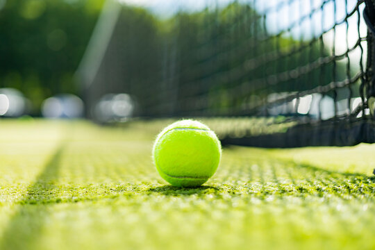 Bright greenish yellow tennis ball, court shadow and green texture of grass turf game match outdoor