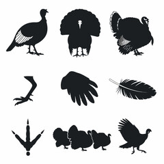 Bird turkey silhouette set for creative design applications © Sketch
