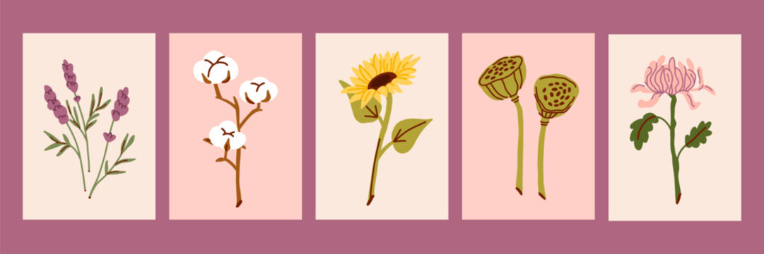 Wildflower Botanical Collection with Lavender, Chamomile, Sunflower and Meadow Flowers, Hand Drawn Floral Illustration in Vintage Herbarium Style