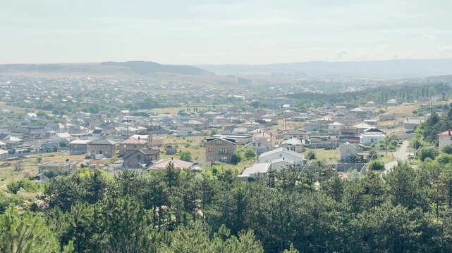 Cozy suburban houses spread gently across rolling hills beyond a green pine forest in Crimea. The warm sunlight creates a peaceful feeling of comfort and quiet community.