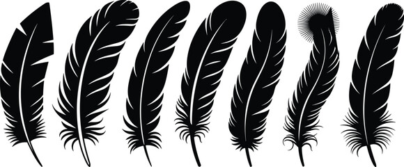 Bird feather silhouette collection set with different detailed shapes isolated on white background in black vector graphic style. © Yesrath Hasan Sobuj