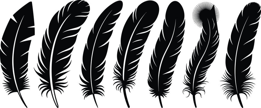 Bird feather silhouette collection set with different detailed shapes isolated on white background in black vector graphic style.