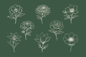 Obraz premium Elegant floral line art collection vector