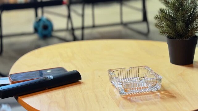 a remote control, smartphone, and empty glass ashtray resting on a round wooden table. A small potted plant decorates this bright modern living room setting during a daytime break.
