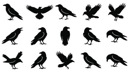 Fototapeta premium Halloween vector bundle 13 crow and raven silhouettes for spooky designs