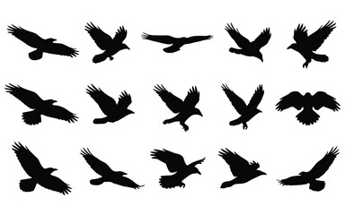 Fototapeta premium Halloween vector bundle 15 flying bird silhouettes for spooky designs