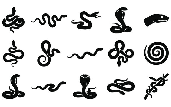 Halloween vector bundle 13 spooky snake illustrations for halloween decor